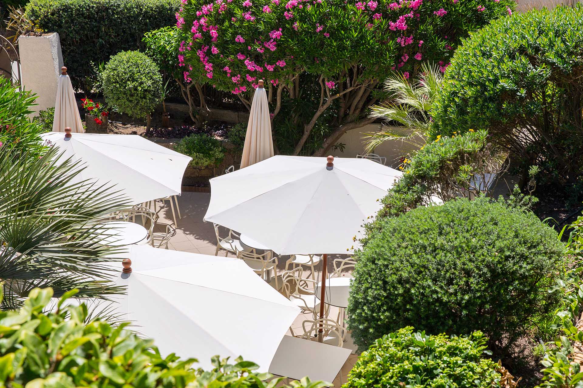 Terrasse extérieure de l’hôtel avec parasols blancs et jardin méditerranéen fleuri