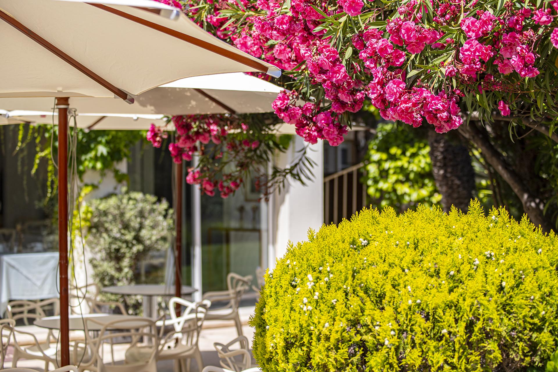 Terrasse ombragée d’hôtel entourée de fleurs méditerranéennes