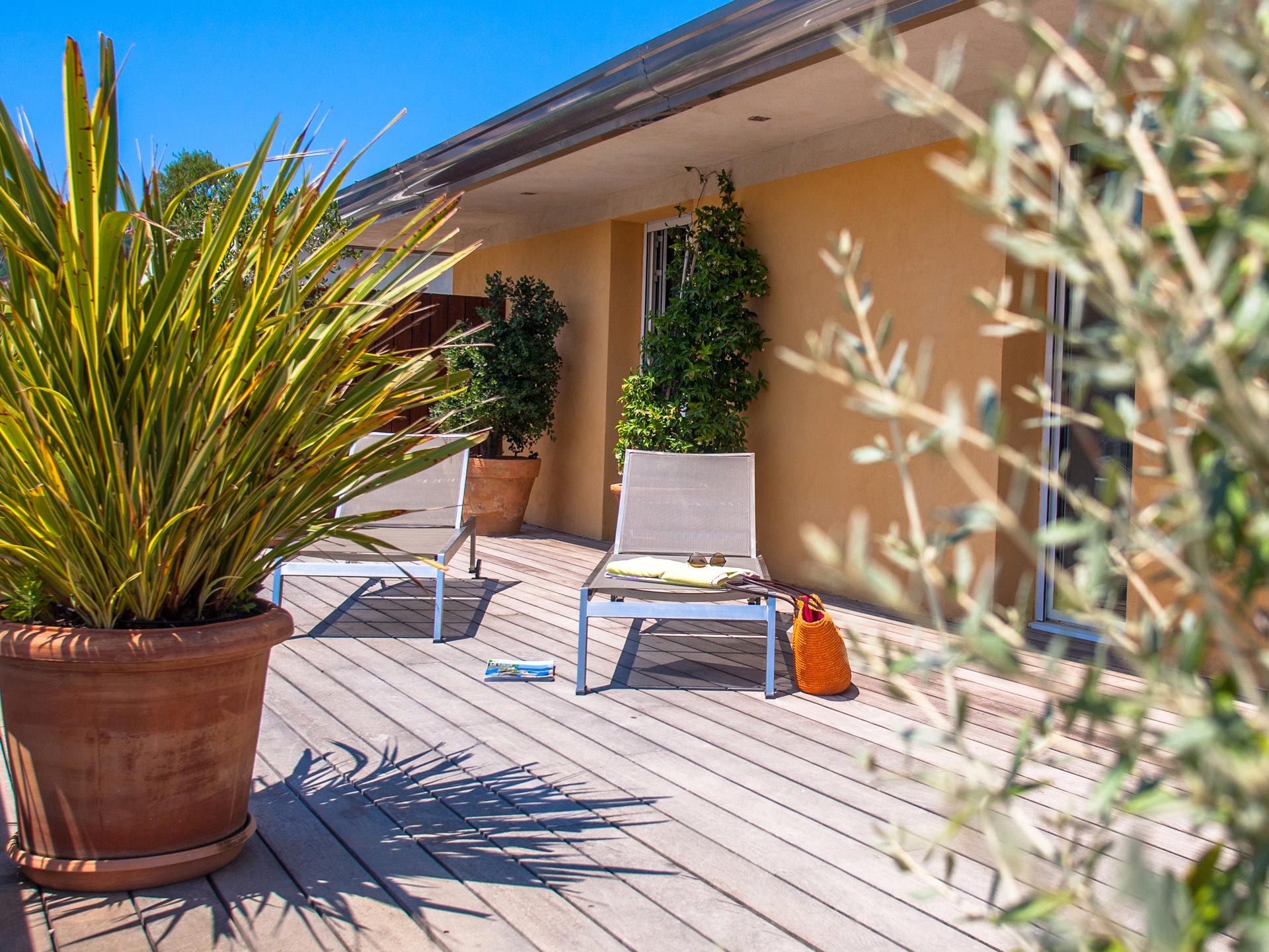 Terrasse privative de la suite avec transats et végétation